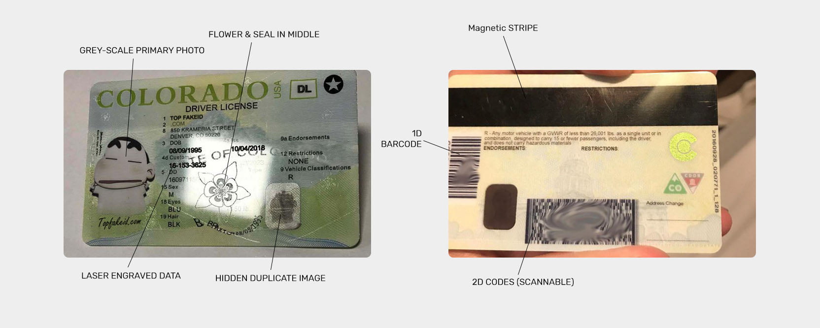 Colorado ID Buy Scannable Fake ID Premium Fake IDs