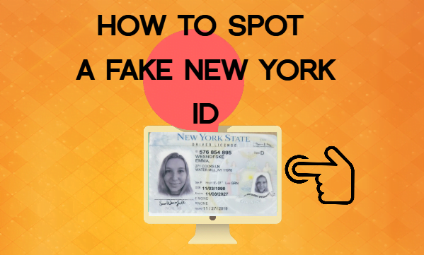 How to Spot a Fake New York ID - Guide by Topfakeid.com