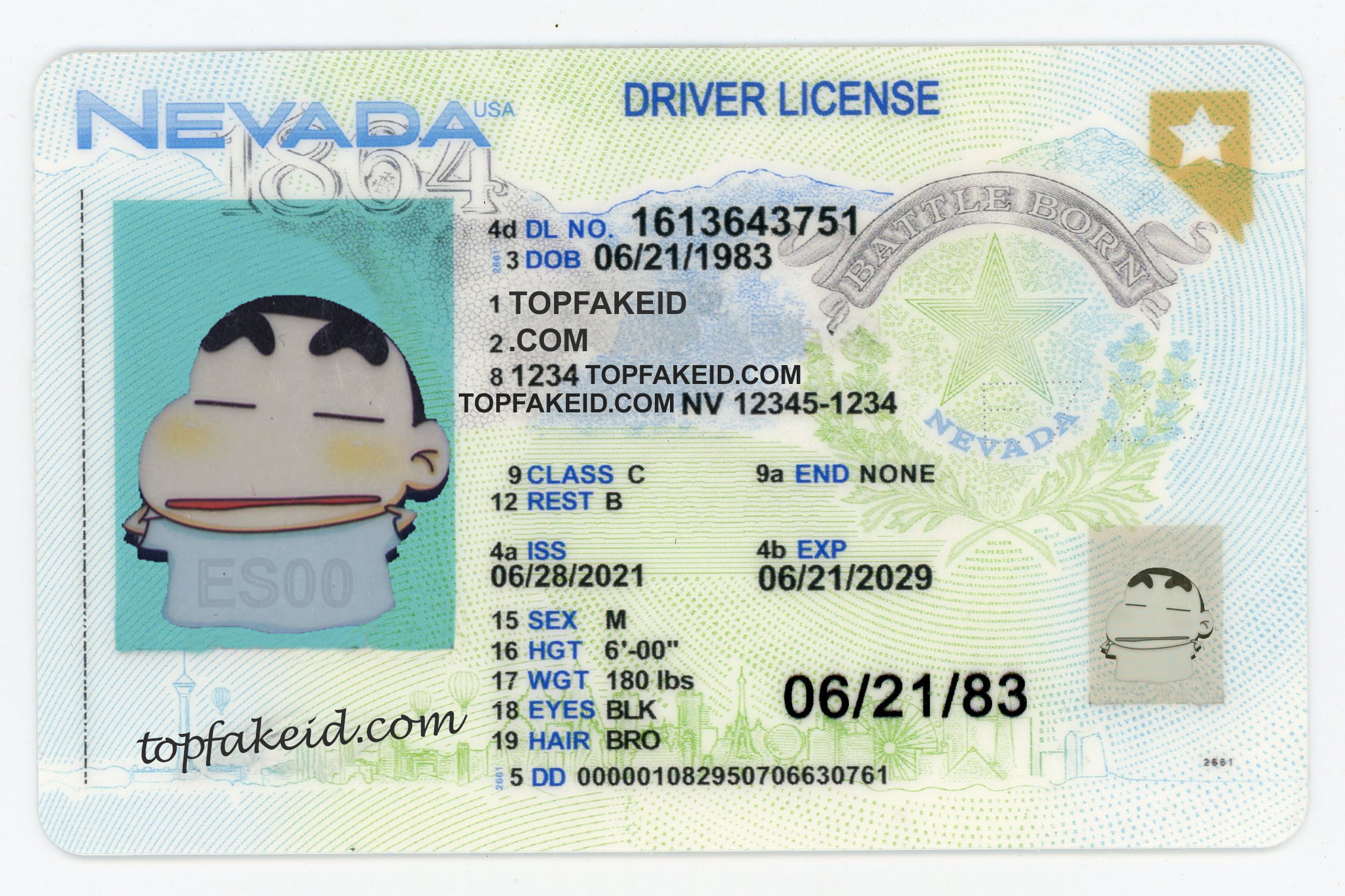 This is our Fake Novelty State Nevada Id Sample - Visit   to view all our ids or