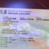 Alaska Custom ID