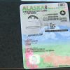 Alaska Custom ID