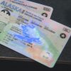 Alaska Custom ID