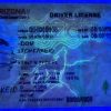 Arizona-Custom-ID-1 Arizona Custom ID