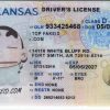 Arkansas-custom-id Arkansas Custom ID