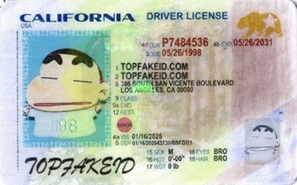 California-custom-id-2 California Custom ID