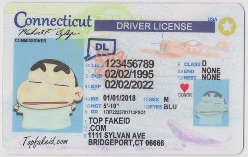 Connecticut-Custom-ID Connecticut Custom ID