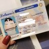 Delaware Custom ID