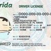 Florida-Custom-ID-Card Florida Custom ID