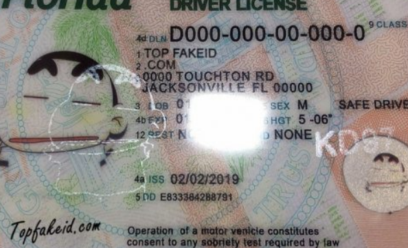 Florida-Custom-ID Florida Custom ID