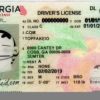 Georgia Custom ID