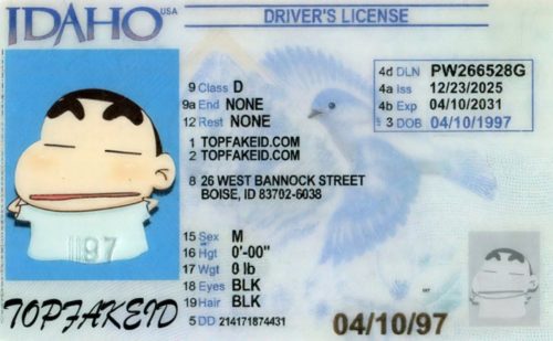 Idaho-Custom-ID Idaho Custom ID