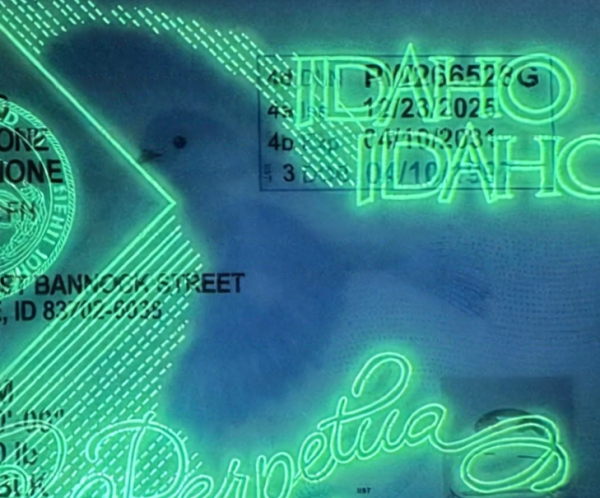 Idaho-custom-6 Idaho Custom ID