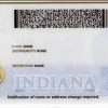Indiana-custom-id-2 Indiana Custom ID