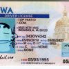 Iowa-custom-id Iowa Custom ID