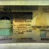 Iowa-custom-id2 Iowa Custom ID