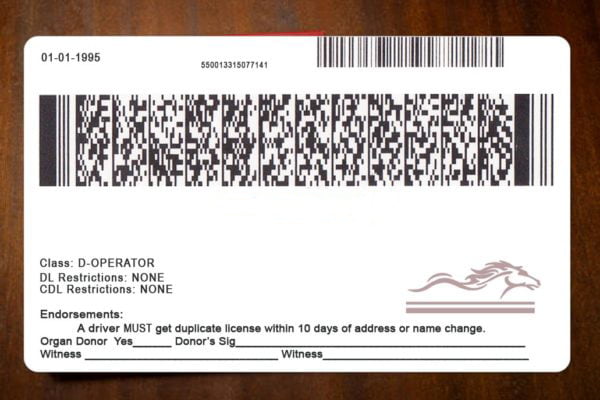 Kentucky-custom-id-3 Kentucky Custom ID