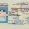 Louisiana Custom ID