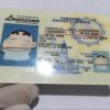 Louisiana Custom ID