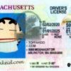 Massachusetts-custom-id Massachusetts Custom ID