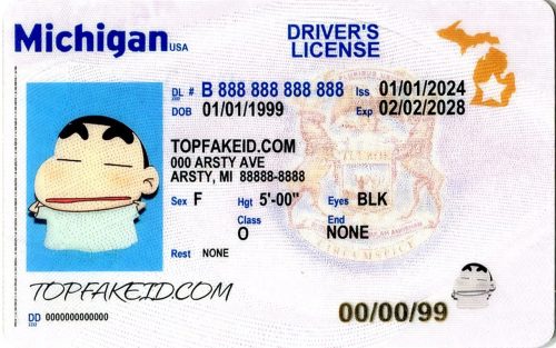 Michigan-custom-id Michigan Custom ID