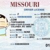 Missouri-custom-id Missouri Custom ID