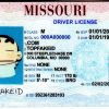 Missouri-custom-id-2 Missouri Custom ID