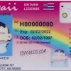 Hawaii Custom ID
