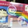 Hawaii Custom ID