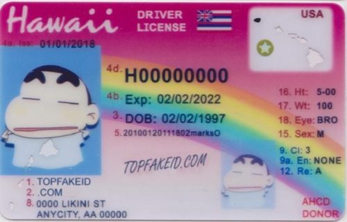 hawaii-id Hawaii Custom ID