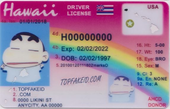 Hawaii Custom ID