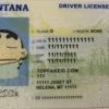 montana-customid Montana Custom ID