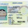 Nevada Custom Novelty ID