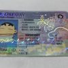 Oregon Custom ID