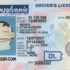 Pennsylvania Custom ID