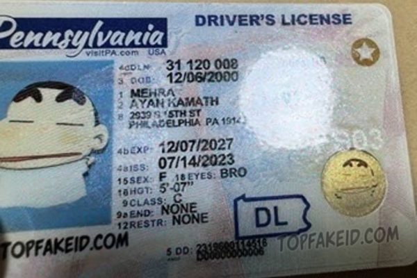 Pennsylvania Custom ID