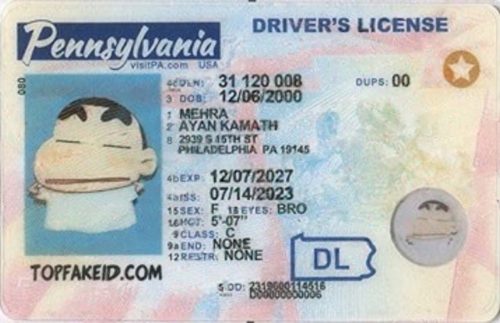 Pennsylvania Custom ID
