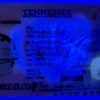 Tennessee-customid Tennessee Custom ID