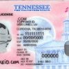 Tennessee-customid2 Tennessee Custom ID