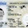 Virginia-custom-id-2 Virginia Custom ID