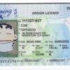 Wyoming-custom-id Wyoming Custom ID