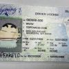 Wyoming-custom-id Wyoming Custom ID