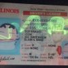 Custom Illinois ID