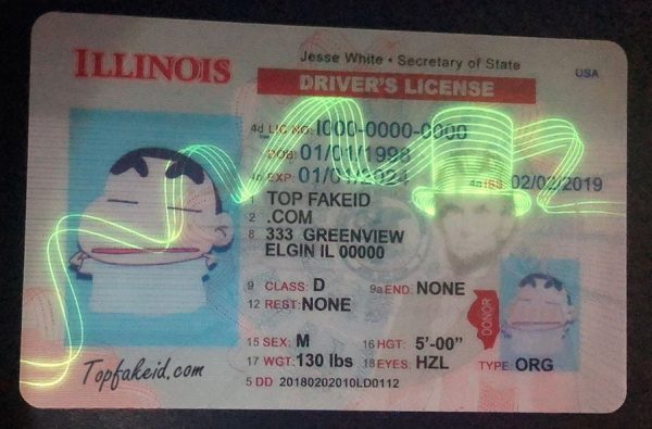 Custom Illinois ID