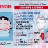 Custom Illinois ID