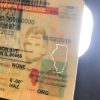 Custom Illinois ID