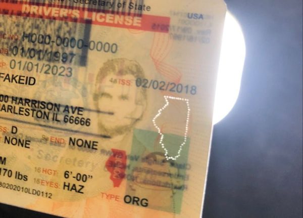 Custom Illinois ID