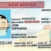 new-mexico-customid2 New Mexico Custom ID