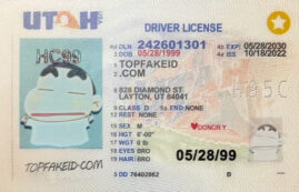 Utah Custom ID