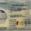 Vermont Custom ID
